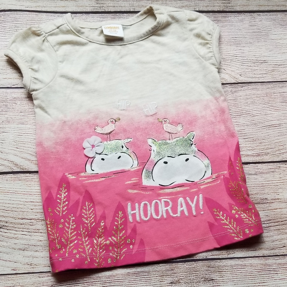 Gymboree 12-18 month short sleeve tee